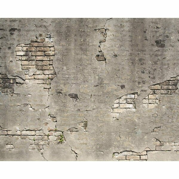 Wall Rogues Broken Concrete Wall Mural WR50520